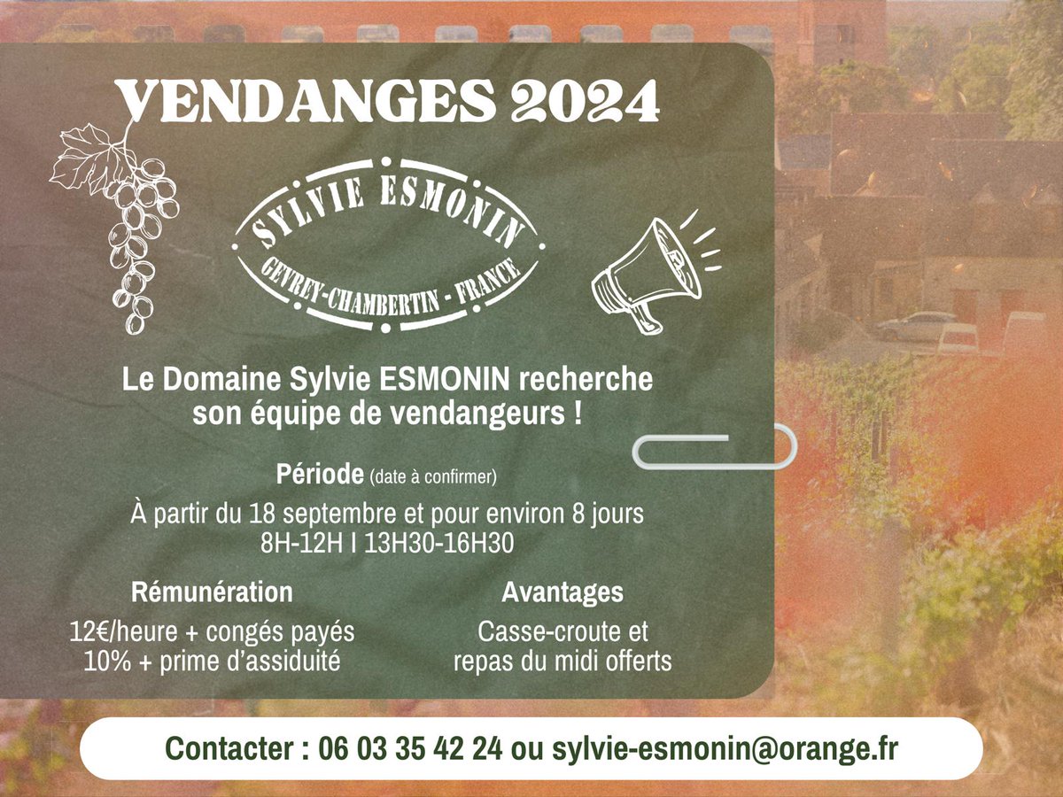 Le domaine recrute pour les vendanges 2024 !