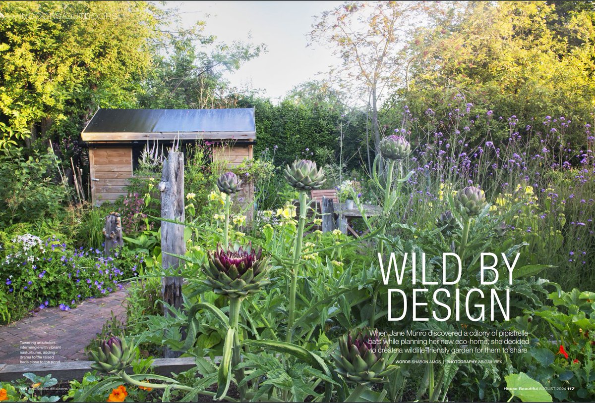 KrisClode's tweet photo. Fabulous article in the August 2024 edition of @HB on the wildlife friendly Eco House garden, near Rye which we designed and which won the Design for the Environment Award @The_SGD 2022 Awards. 

Photos by Abigail Rex, Words by Sharon Amos. https://t.co/KoMOucoMvv