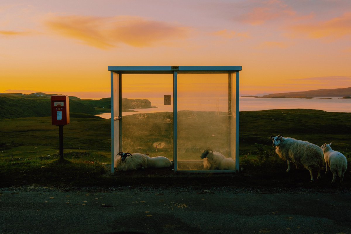 Daniel Casson tweet media