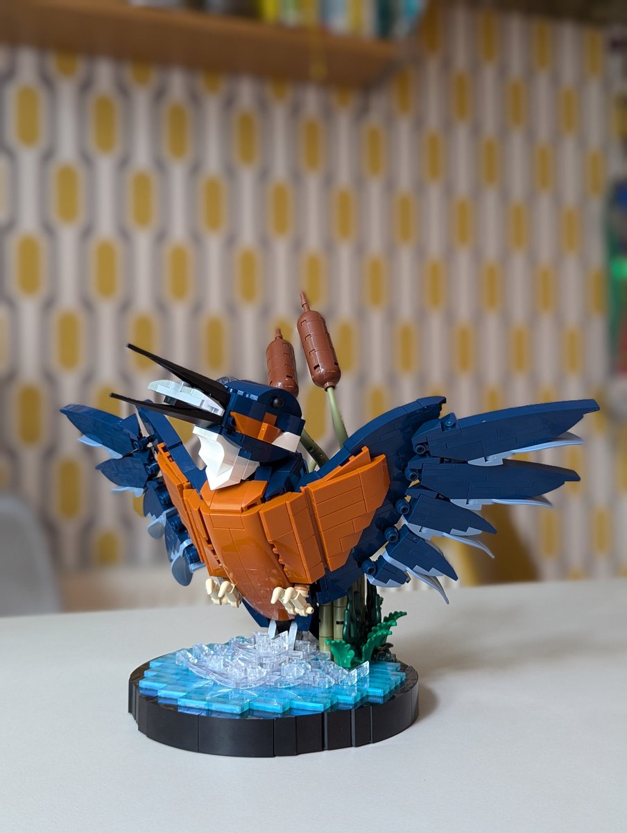 Finished my birthday present, with some help from Rennah