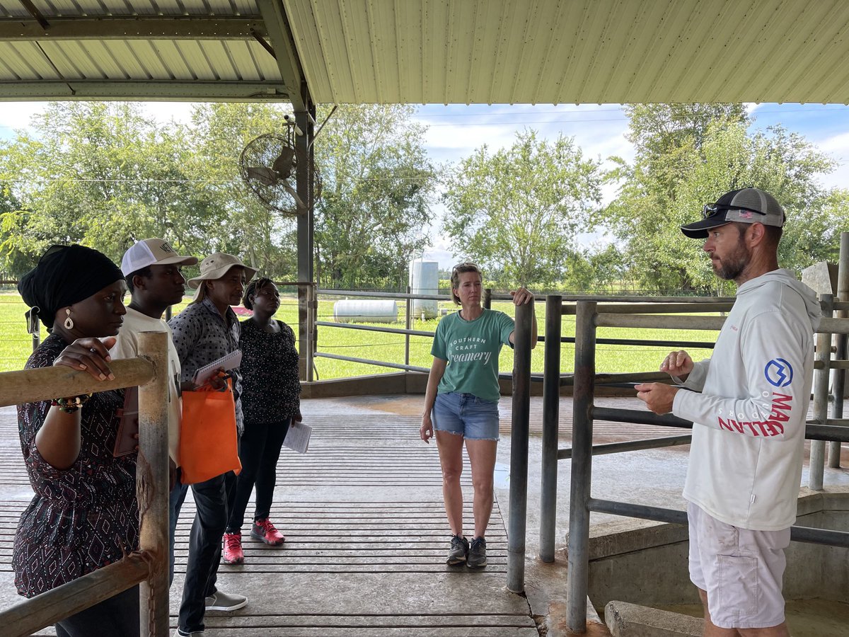 dubeux's tweet photo. Thank you so much for Brad and Meghan Austin from Cindale farms to host our USDA Fellows this morning! It was great for them to learn about such a unique dairy operation in our State! ⁦@UF_IFAS_GFSI⁩ ⁦@UFIFASAgronomy⁩ ⁦@ufifasnfrec⁩ ⁦@nutridairy⁩ https://t.co/NMECWavGbc