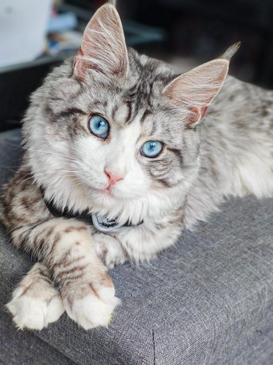 Trop belle ma Uxi 🥰