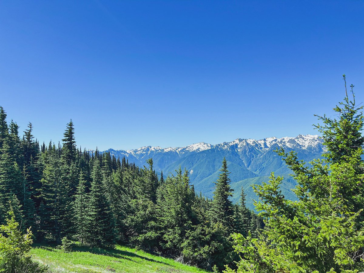 Jennifer, Esq.⚖️ tweet media