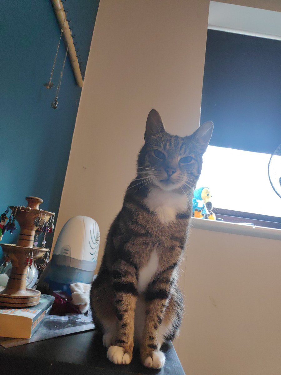 Actually, Ashley🏳️‍⚧️ tweet media