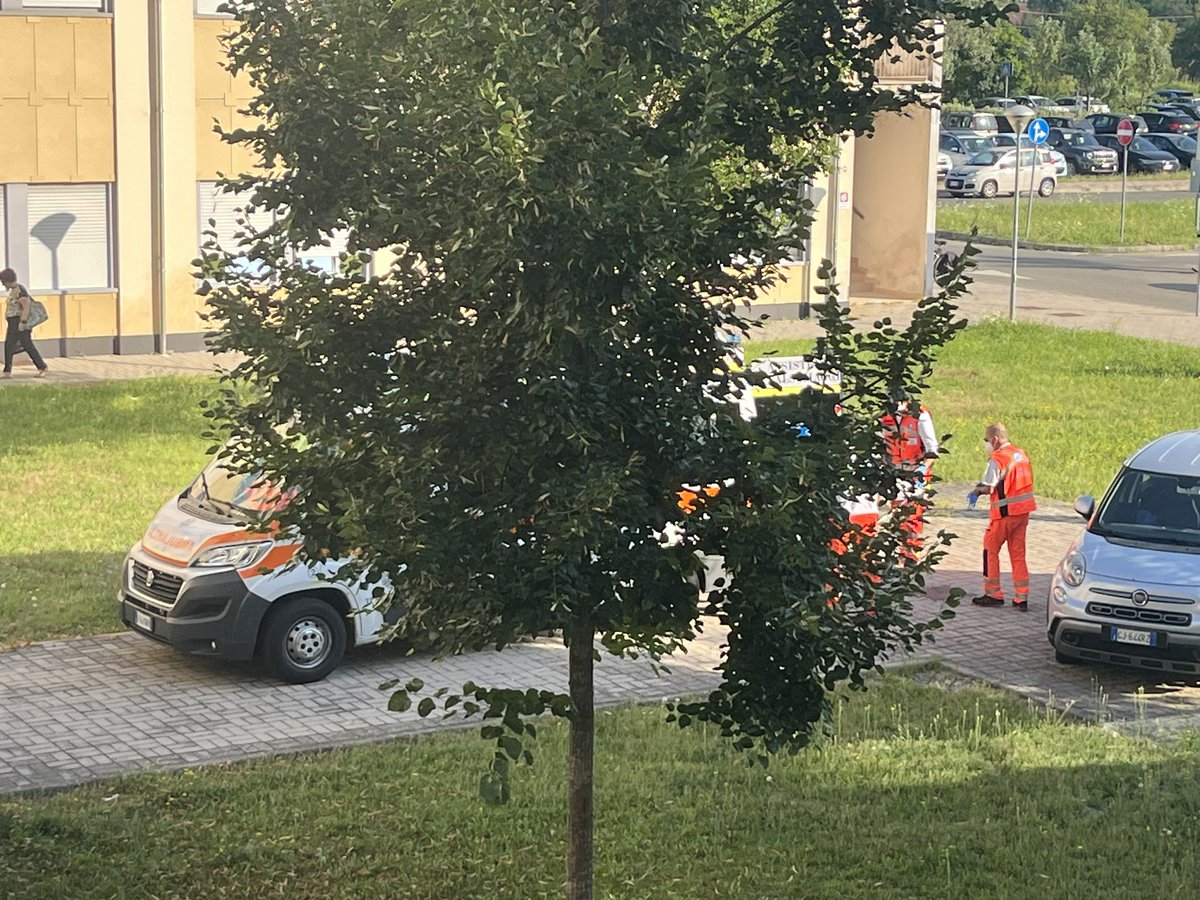 Carlo Alberto Galluzzo - Happier times ❤️ tweet media