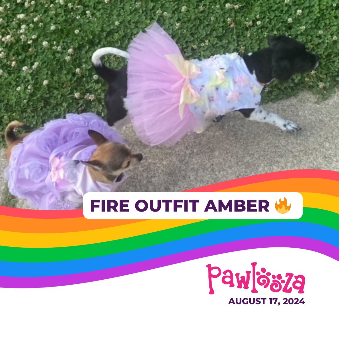 LEADSEmployment's tweet photo. All dressed up and ready for Pride and Pawlooza π₯
What fire fits are you going to wear to the best dog festival of the year? πΎ πΆ
#DogFestivalOutfits #BestDressedDogs #Pawlooza2024 #DogFashionista #PridePets https://t.co/EOcmpvFq5I