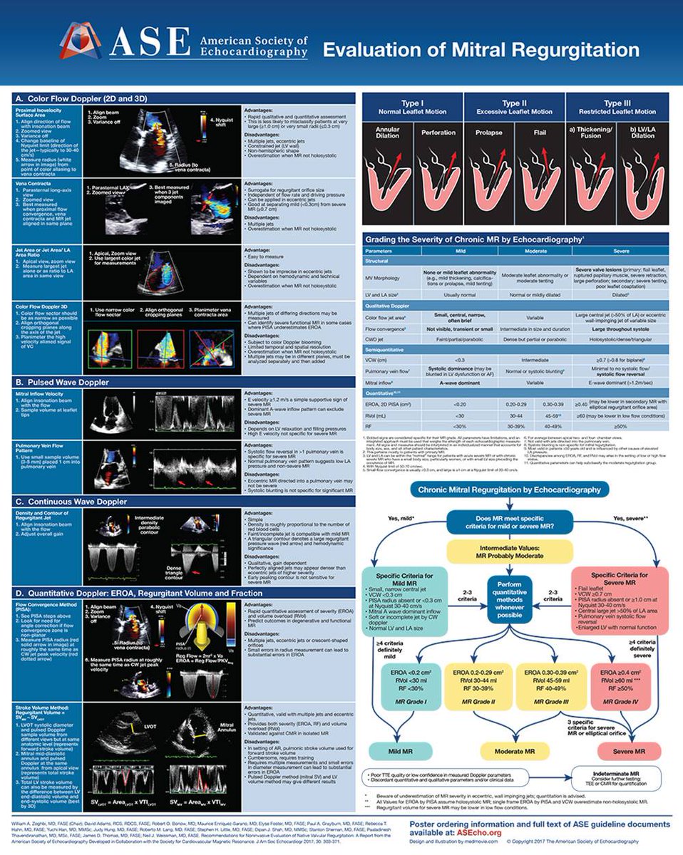 The Heart tweet media