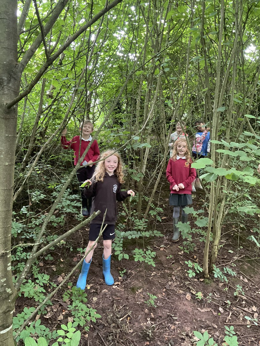 Blwyddyn 2 Cross Ash tweet media