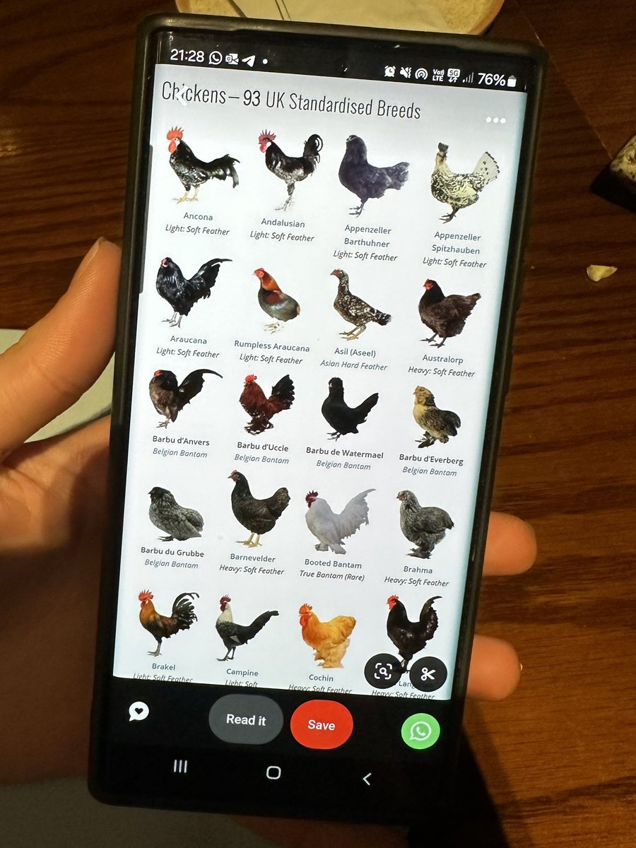 its_leonie's tweet photo. Dad: „you should check my Pinterest boards and pins”

the Pinterest in question: https://t.co/qfQbYll04b