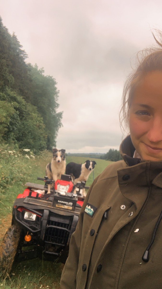 Abi Beynon-brown tweet media