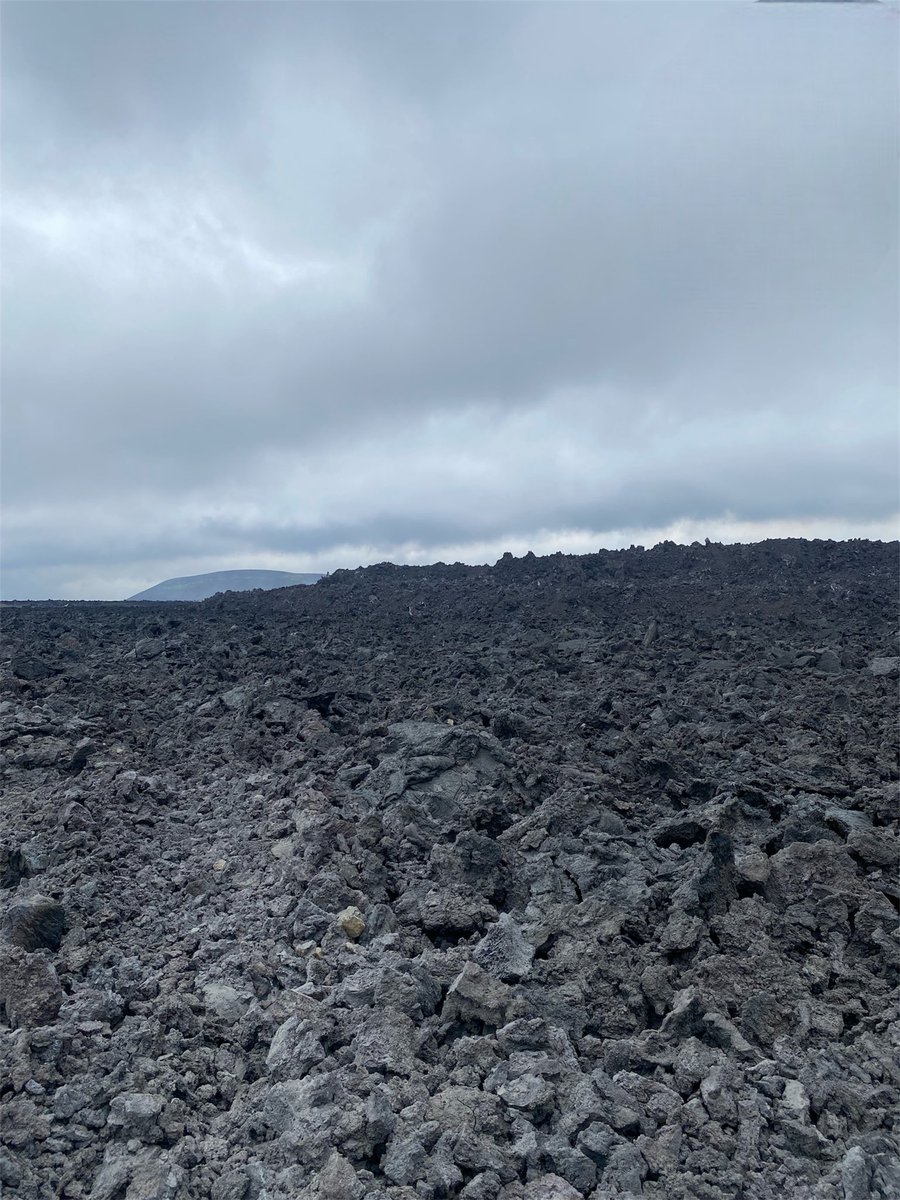 mattiaesp_'s tweet photo. Last week sampling in Iceland 🇮🇸 with @d_giovannelli #extremegeomicrobiology #astrobiology #fieldwork #science https://t.co/UC4OCgNnG9