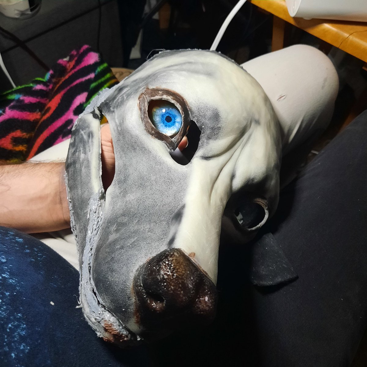 OmtayDover's tweet photo. Fursuit heads that I'll be putting in Comic-con art show. They'll be for auction. https://t.co/FLY8l4zlEH