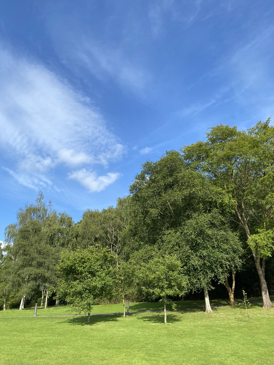 Katharine Earnshaw (@earnshaw_k) on Twitter photo Excellent first day at the <a href="/MEMBRA_Trees/">MEMBRA_Trees</a> <a href="/UK_Treescapes/">UKTreescapes</a> Valuing Treescapes Conference. Some sobering research on tree regeneration coupled with hopeful conversations about climate action. 🌳
(photo shows the location of <a href="/WalkingForest4/">Walking Forest</a> piece on <a href="/UniofExeter/">University of Exeter</a> campus) Excellent first day at the <a href="/MEMBRA_Trees/">MEMBRA_Trees</a> <a href="/UK_Treescapes/">UKTreescapes</a> Valuing Treescapes Conference. Some sobering research on tree regeneration coupled with hopeful conversations about climate action. 🌳
(photo shows the location of <a href="/WalkingForest4/">Walking Forest</a> piece on <a href="/UniofExeter/">University of Exeter</a> campus)
