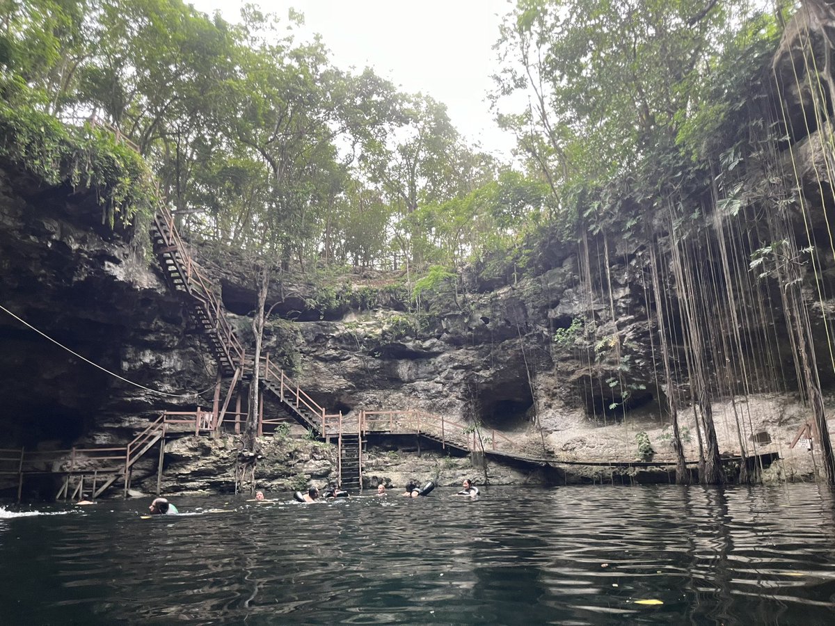 Chloe Lieng tweet media