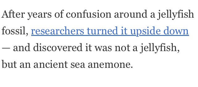 I can practically hear the chorus of palms slapping foreheads at that lab meeting.
