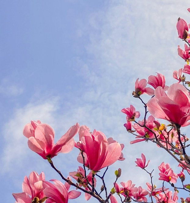 𝙂𝙤𝙙𝙙𝙚𝙨𝙨 𝙤𝙛 𝙇𝙤𝙫𝙚 tweet media