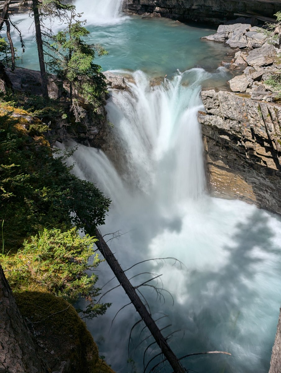 Violet Neko tweet media