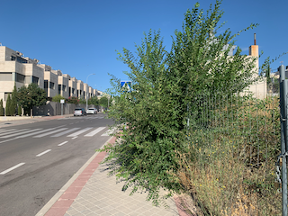 R. Montecarmelo tweet media