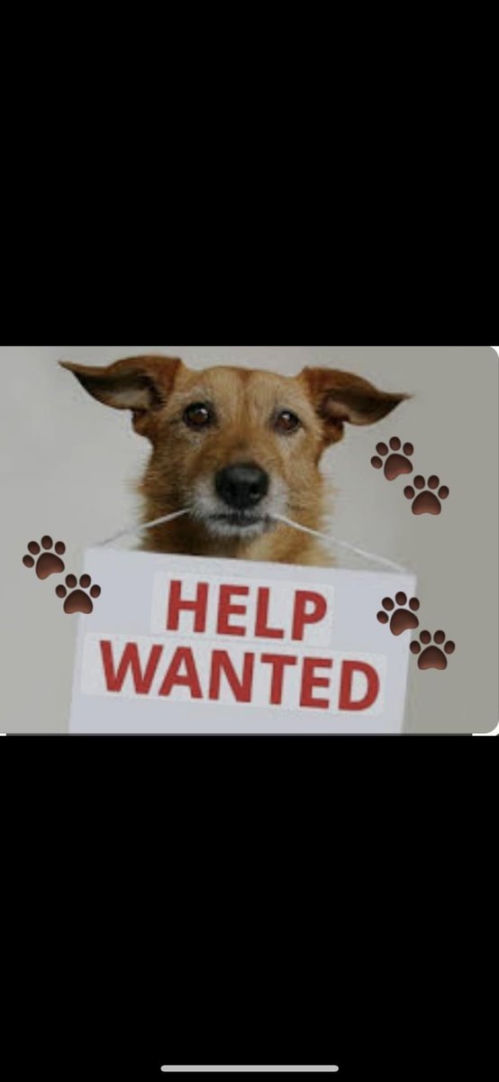 tiredpawshmpdog's tweet photo. SOS ....📣📣📣📣
Here at Tired Paws HQ... we are are getting so busy and we need extra paws on deck!!

As a small group, all working full time, and having busy families of our own, we need a few more Pawsome people to join the pack!
The foundation is growing and the work load is getting bigger!!

🐾 Do you have a little bit of spare time??
🐾 Would you be willing to lend a hand
🐾 Any area of expertise would be welcome

The only Essential is that you must love dogs 🤣

If this is you, please get in touch- we would love to hear from you! 🐶🐶