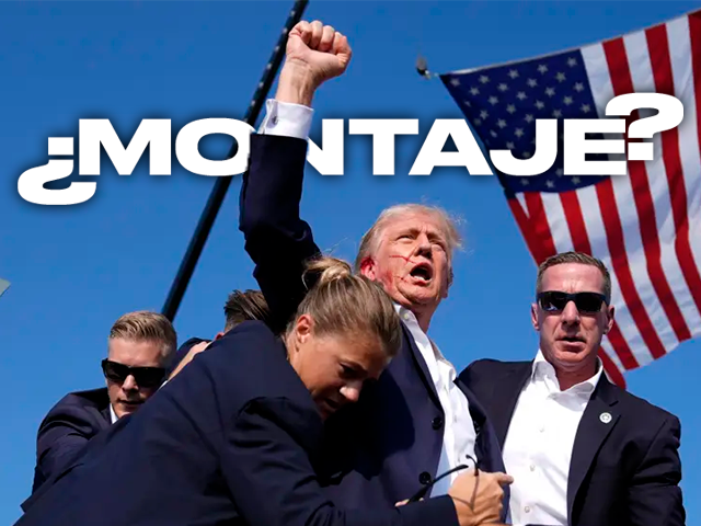 𝐃𝐀𝐍 🕷️ tweet media