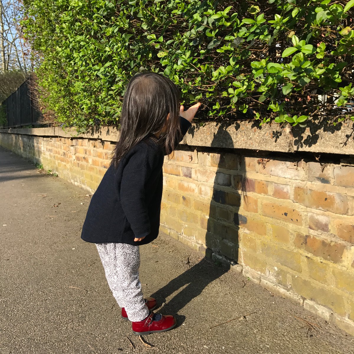 isekiayako's tweet photo. 「人を指差したらあかんよ」と、この手の形を教えたら植物にも丁寧な幼児になってしまった期の写真が出てきた。1歳11ヶ月。 https://t.co/NpKuBxRDMi
