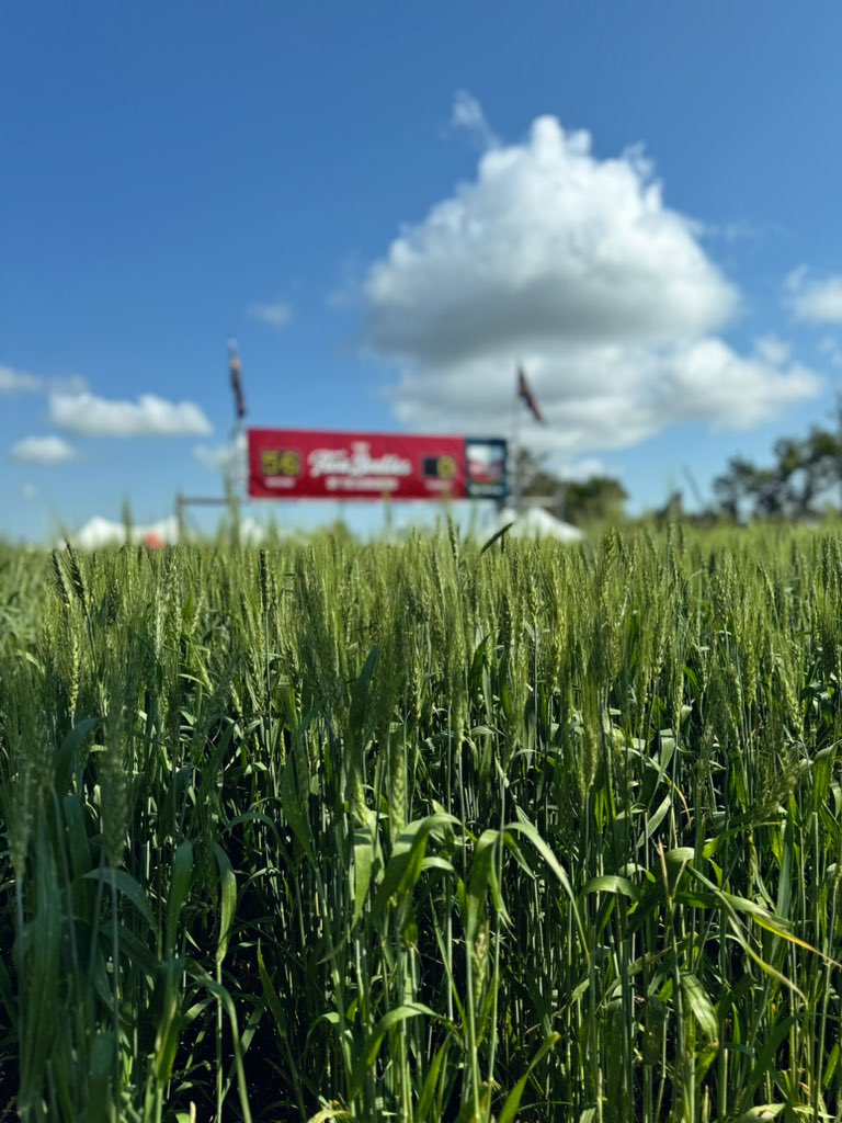 Crop Science Canada tweet media
