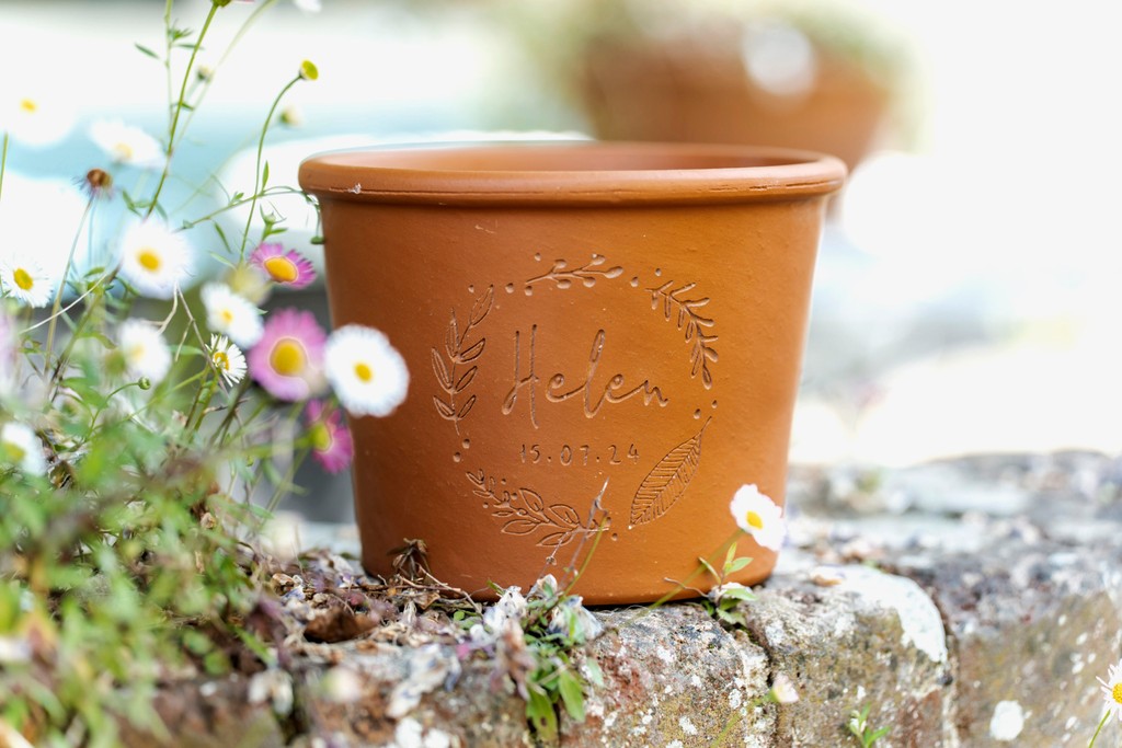 Letterfest tweet media