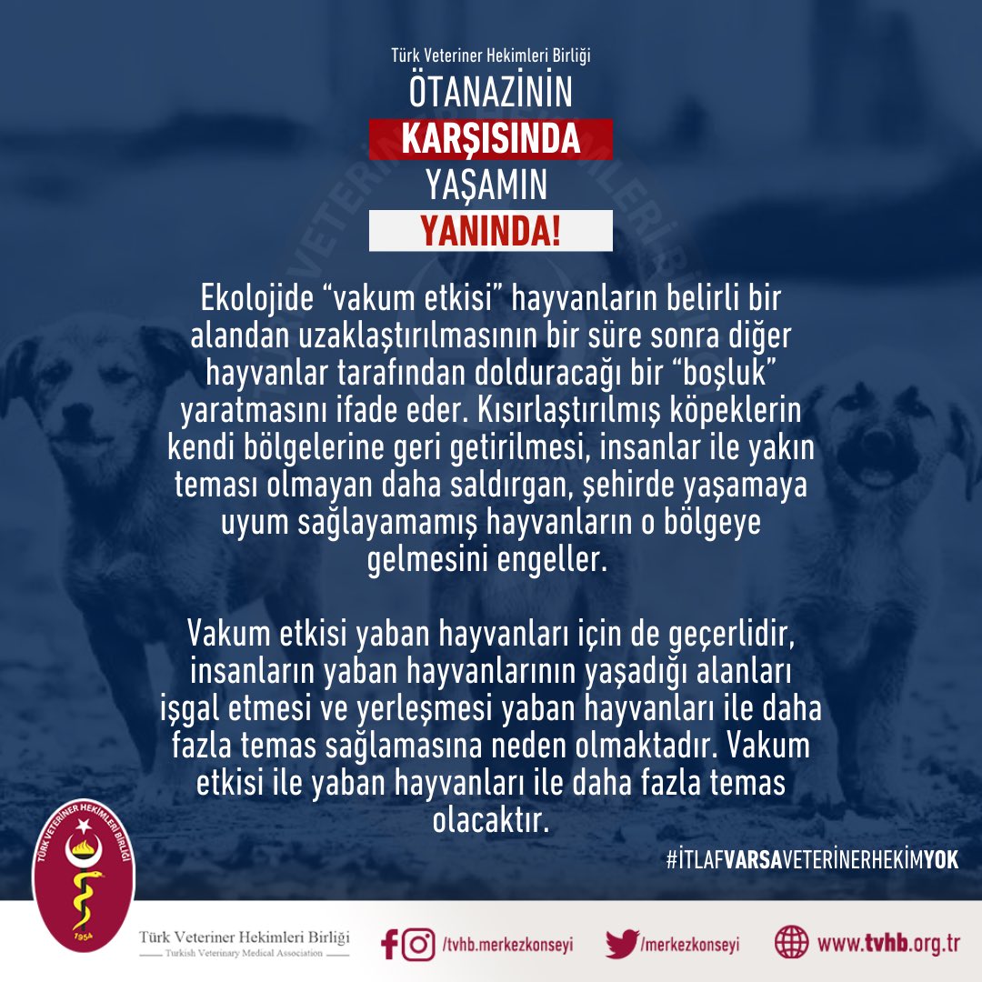 İtlaf Varsa Veteriner Hekim Yok!

Ekolojide “vakum etkisi” hayvanların belirli bir alandan uzaklaştırılmasının bir süre sonra diğer hayvanlar tarafından dolduracağı bir “boşluk” yaratmasını ifade eder. Kısırlaştırılmış köpeklerin kendi bölgelerine geri getirilmesi, insanlar ile