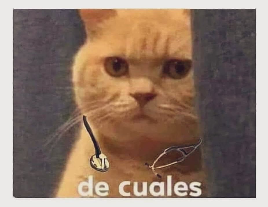PediaNu's tweet photo. Papá de mi paciente: ya doctora, no se enoje porque llegamos tarde a la cita, le traje unos tacos https://t.co/a4EGY5QSRP