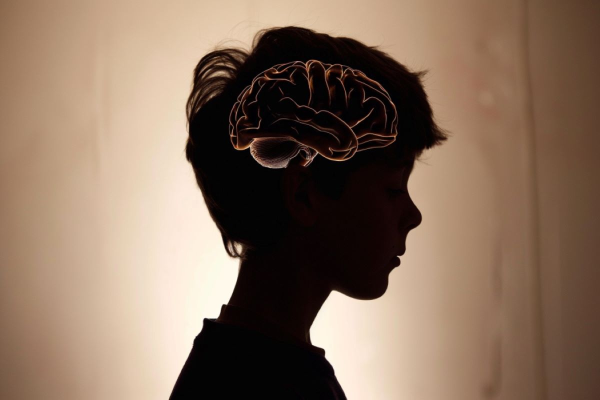 Reflective Thinking Boosts Teen Brain Resilience to Violence

Teens who think deeply about social issues and violence show greater resilience to the negative effects of violence exposure on brain development.

This type of "transcendent thinking" involves considering broader