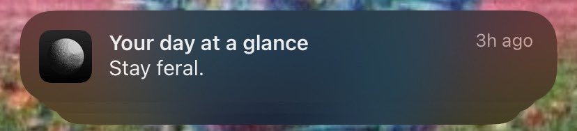 Rei_silverdot's tweet photo. Thank you horoscope app I intend to https://t.co/Bt0UWbUIGO