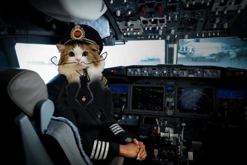 This is your Captain speaking ✈️
On behalf of <a href="/Neuralink/">Neuralink</a> I wish you a pleasent stay in Austin 😸

#NCAT #NEURACAT #ETHEREUM #ERC20 #meme #memecoin #neuralink <a href="/elonmusk/">Elon Musk</a> <a href="/ModdedQuad/">Noland Arbaugh</a> #funny