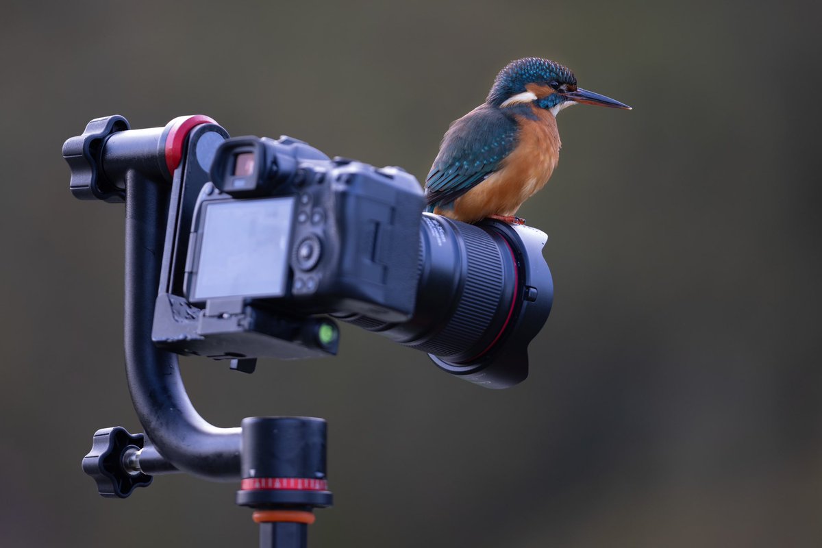 𝖢𝗅𝗈𝗌𝖾𝟤𝖱𝗂𝗏𝖾𝗋𝗌 tweet media