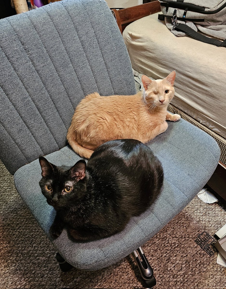 No, that's fine. I guess I feel like standing today.