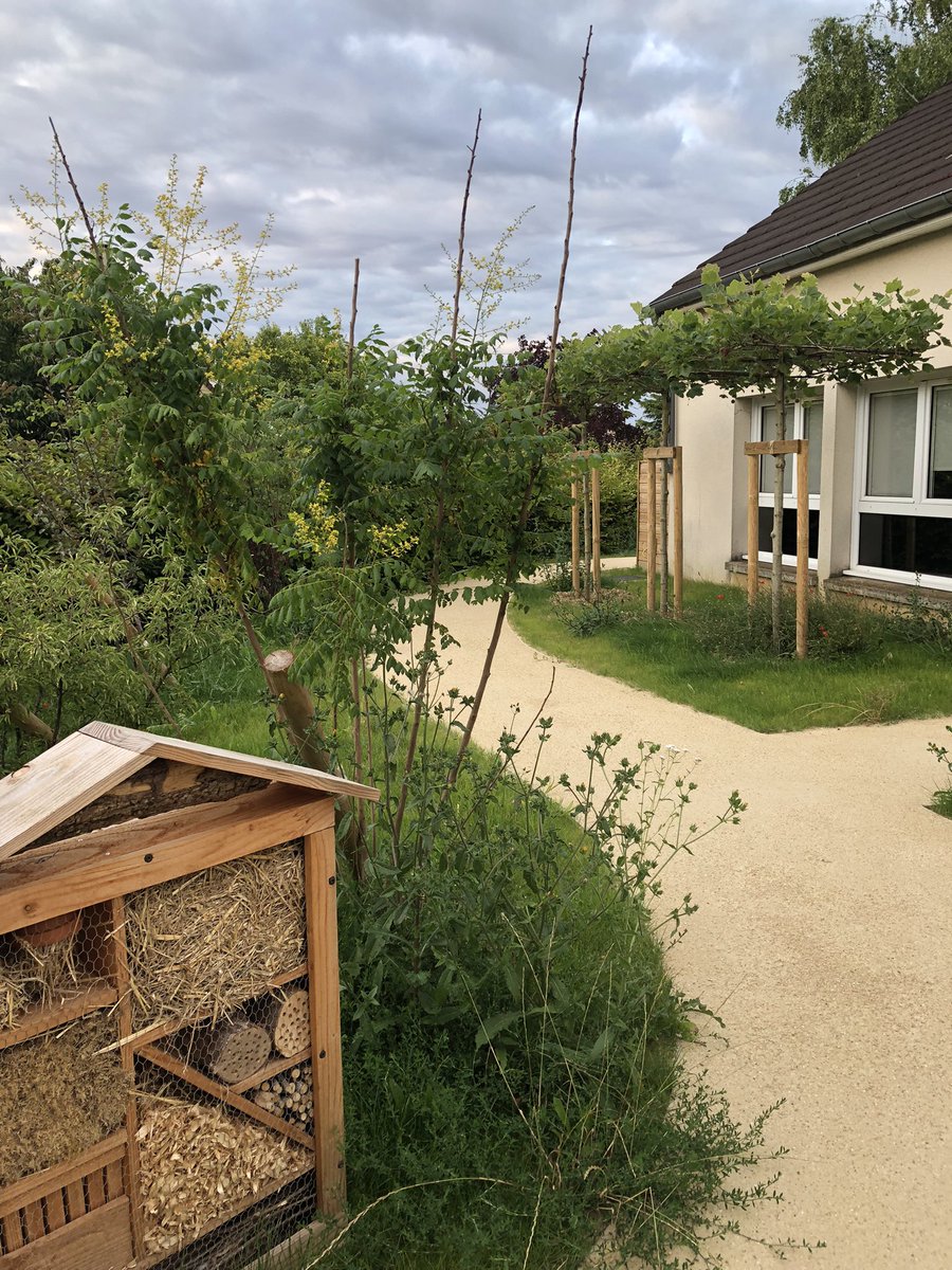 Fabien_Au's tweet photo. Végétalisation de l’école Dolto à @VilledeVerneuil : ça pousse ! 🌱 https://t.co/VVz3pWWPv7