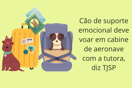 observatorioeco's tweet photo. Cão de suporte emocional deve voar em cabine de aeronave com a tutora, diz TJSP https://t.co/AiMXCf29h8 via @observatorioeco https://t.co/kmpGKtFgii