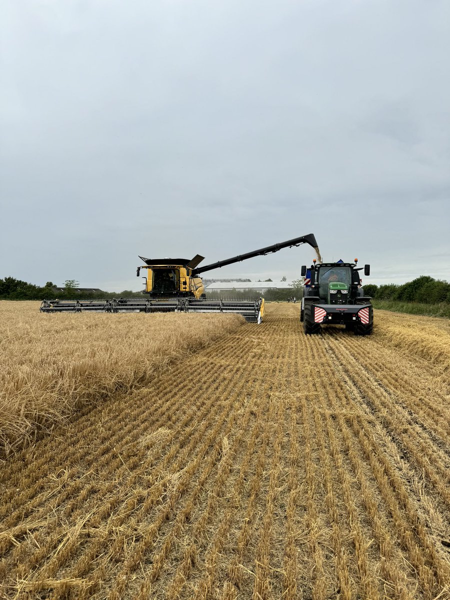 Dan Iles tweet media