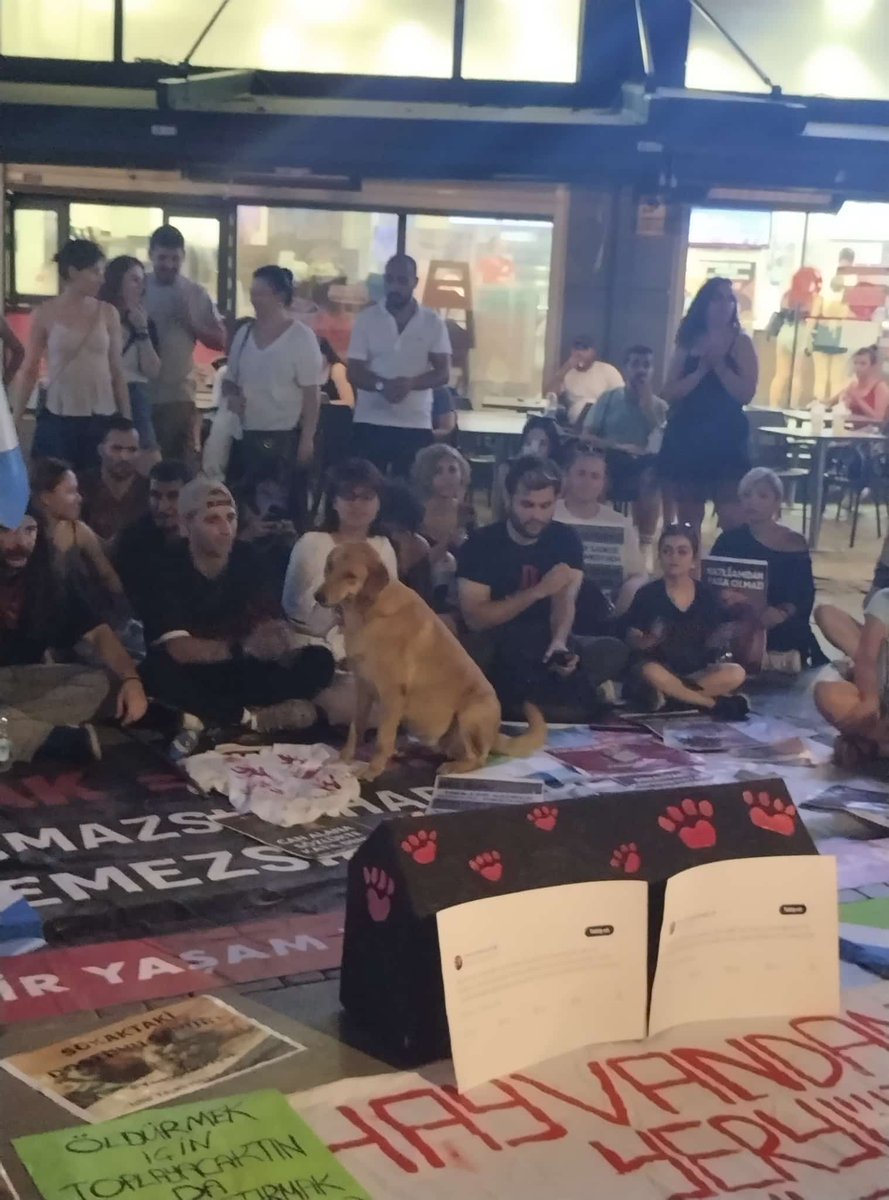 syldgsd's tweet photo. Fotoğrafa bakıp bu katliama karşı çıkmayan herkes vicdanını sorgulasın.O kadar her şeyden habersiz ve masumlar ki #YasayiGeriCek https://t.co/K5lY9BFqTr