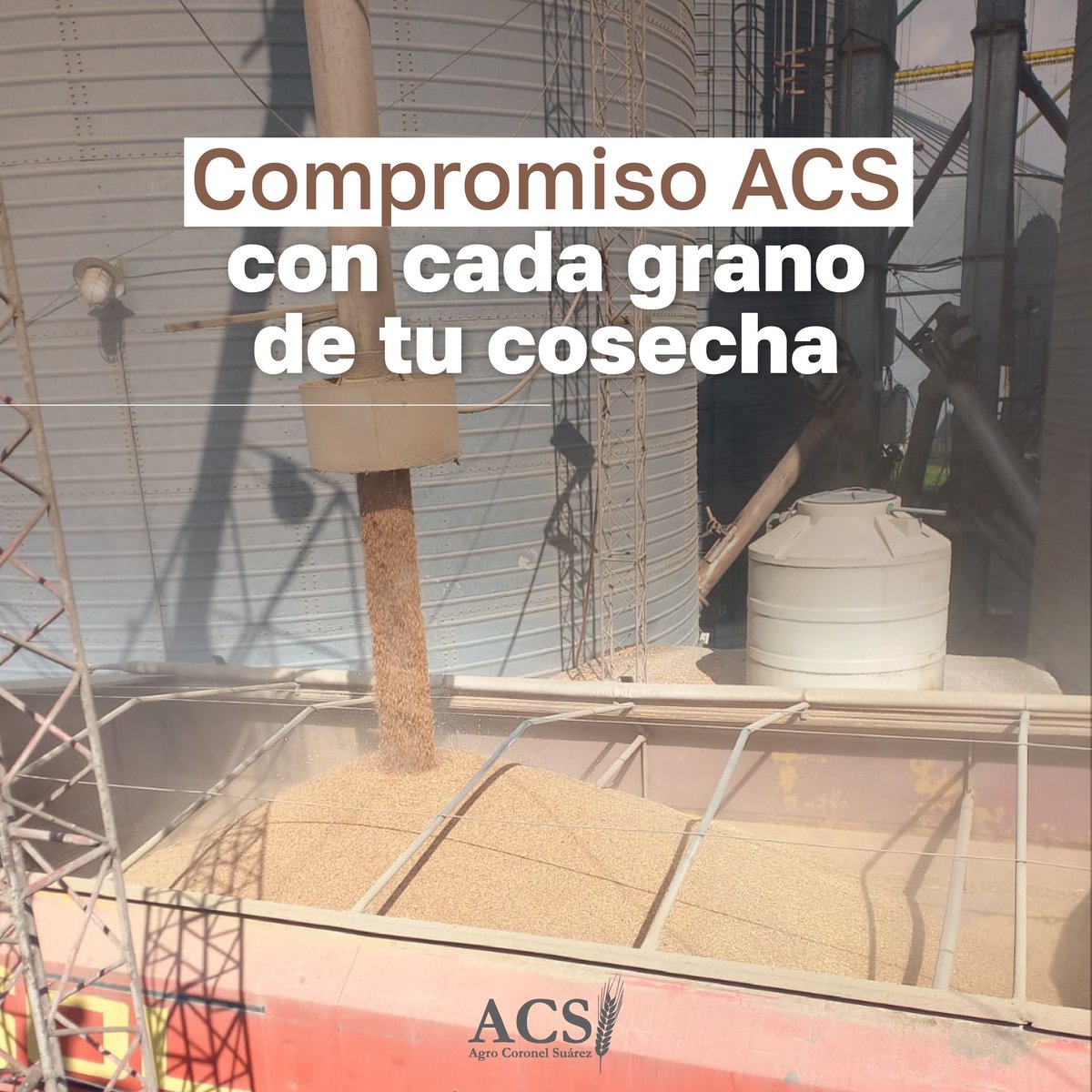 Tu cosecha, nuestra responsabilidad. 
 
Las 24 horas, todos los días.
 
Asesoramiento en negocios agropecuarios.
 
Financiación y canjes personalizados.
 
Entregas regionales: Suárez, Pringles y Bahía Blanca.
 
Servicio de logística.
