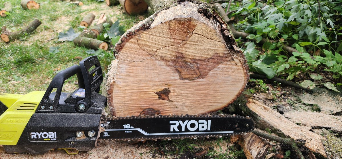 Mark G. Spychala tweet media