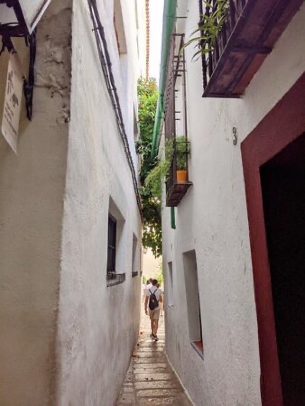 lilianaf523's tweet image. ADIVINEN QUIEN…Lo reservó ya!