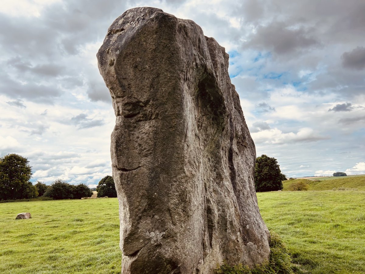 Thomas Shaw tweet media