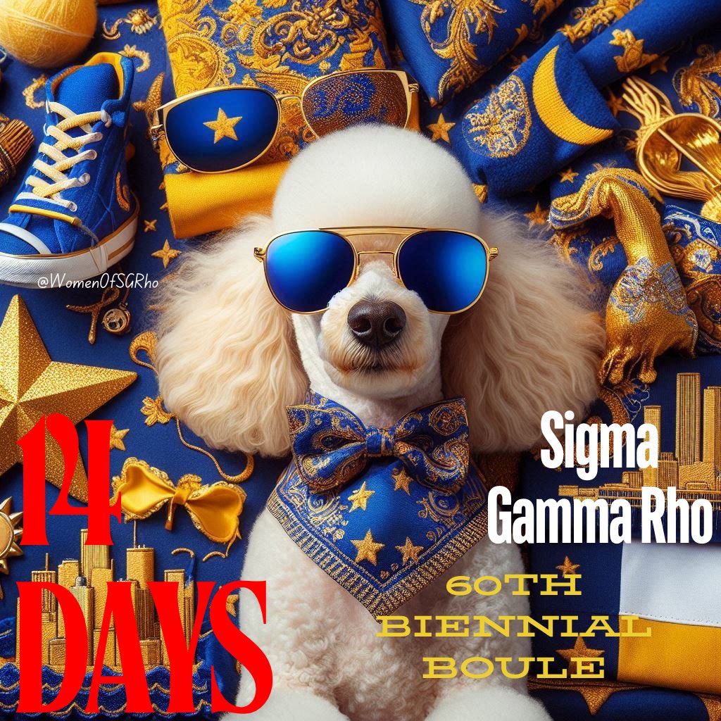 womenofsgrho's tweet photo. “It’s Boule time prepare the Others” 😎
#WomenOfSGRho #SigmaGammaRho #SGRhoUpdates https://t.co/lNmJbWC5bM