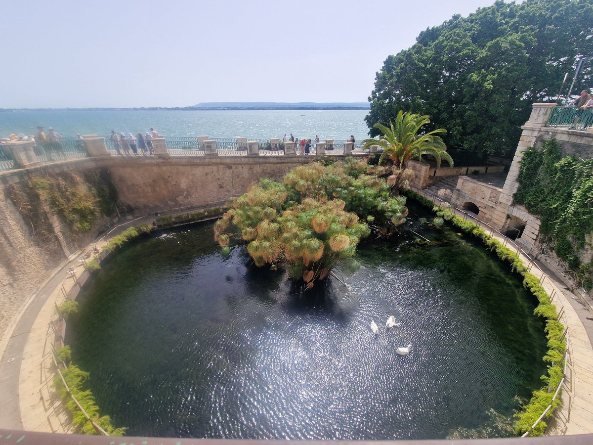 Esta soy yo. 

Un manantial de agua dulce en el corazón de Ortigia, Siracusa.

Mi nombre es Aretusa y hoy os voy a contar mi historia. 

📷 Fuente de Aretusa, foto propia.