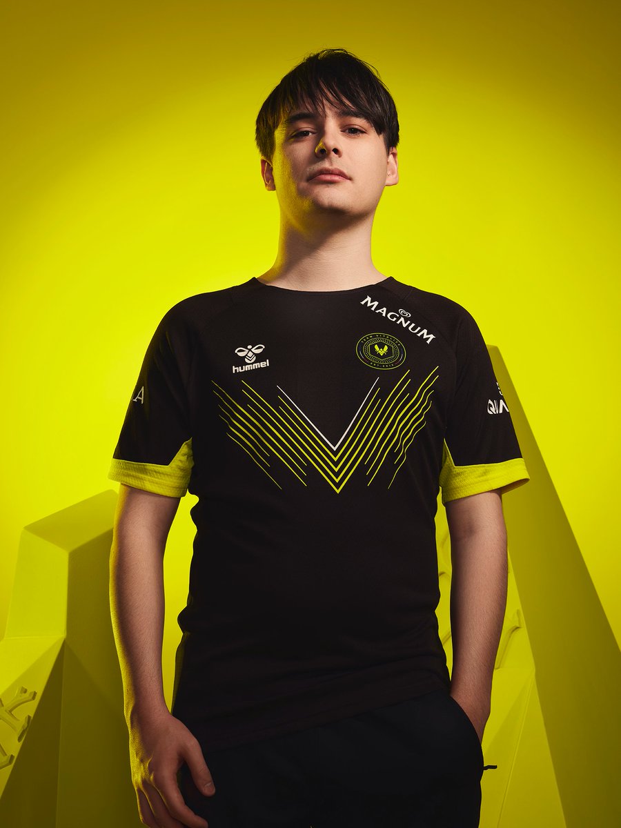 TeamVitality's tweet photo. From fan                             To Champions https://t.co/84kGDdiWez