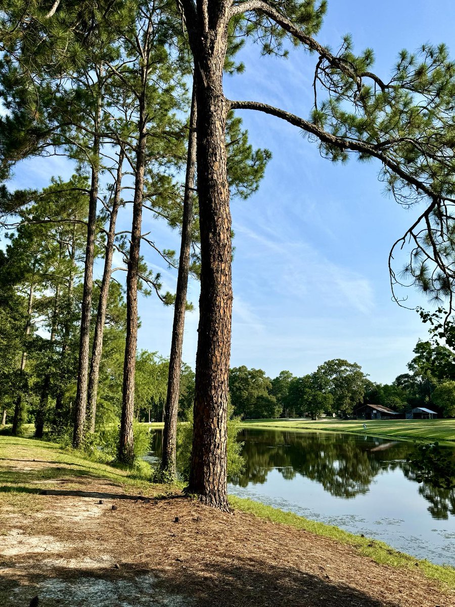 🌳✨ Celebrate Parks &amp; Rec Month at Fletcher Memorial Park! Gifted in 2007, this 28-acre gem features a pond with a walking path, fishing spots, and picnic tables. Explore the beauty of Statesboro! 🎣🏞️ #parksandrecmonth