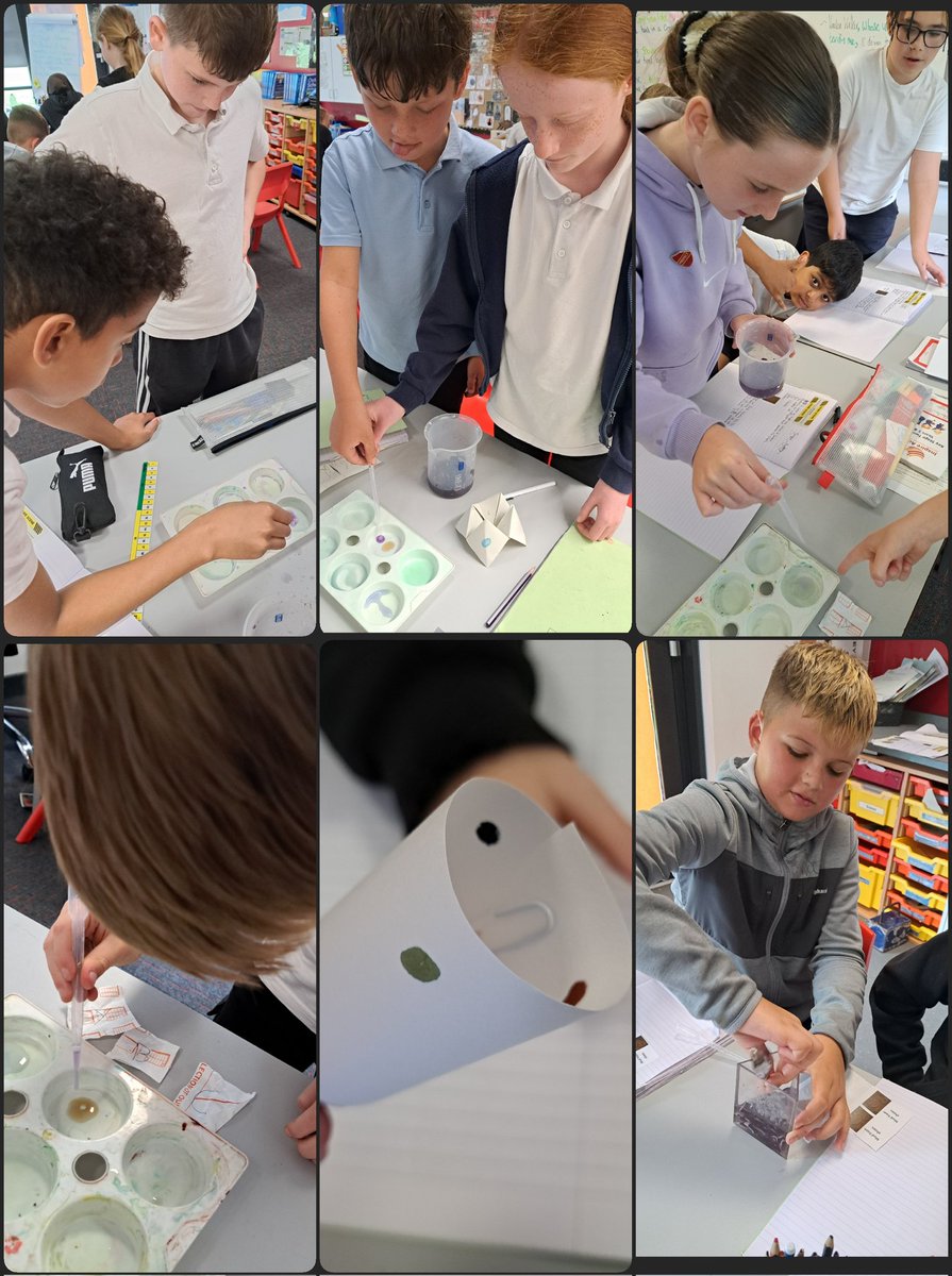 Year 5 took part in a wonderful <a href="/_InspireScience/">Inspire Science</a> session today, combining scientific techniques with our <a href="/InspireHistory/">Inspire History</a> topic of Crime and Punishment. They tested soil samples and conducted a chromatography experiment to identify the biscuit thief!