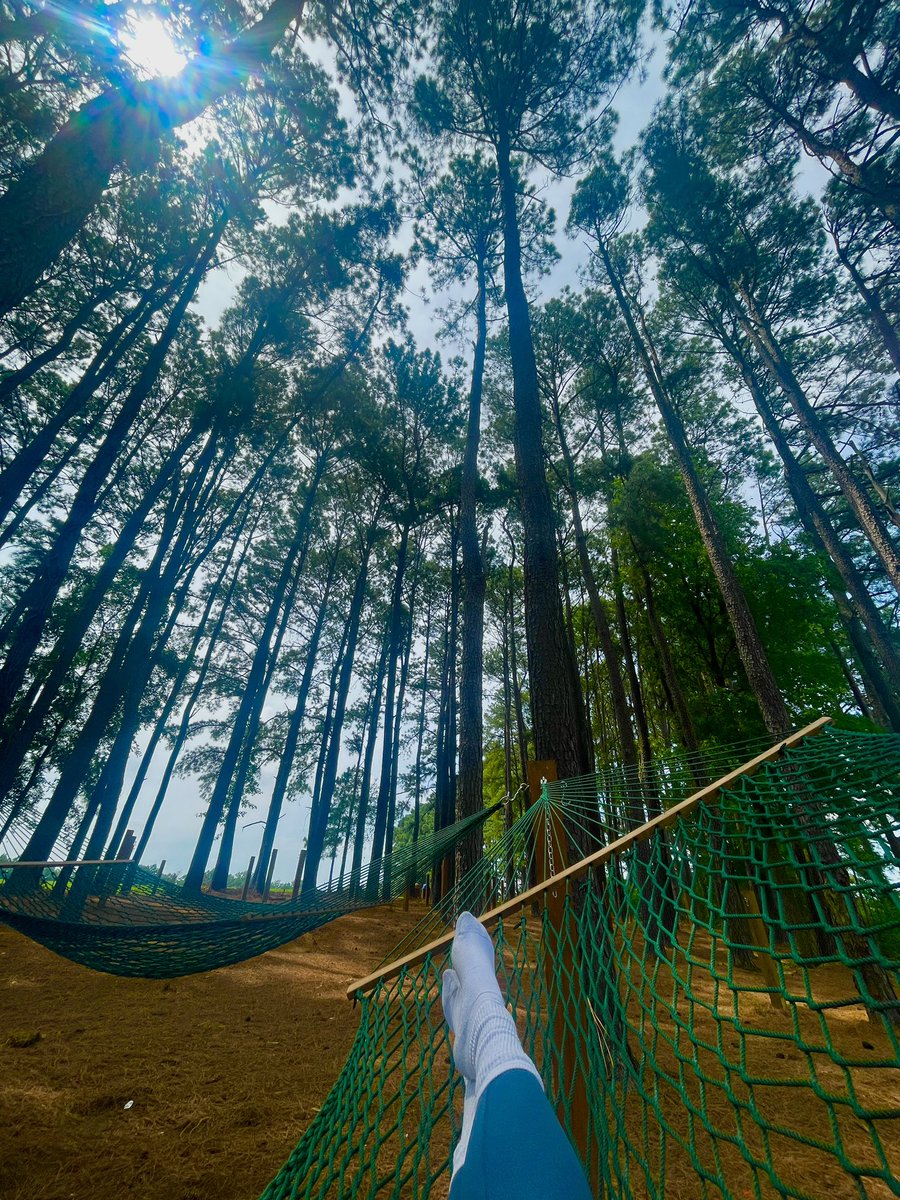 life been real peaceful lately and i love it