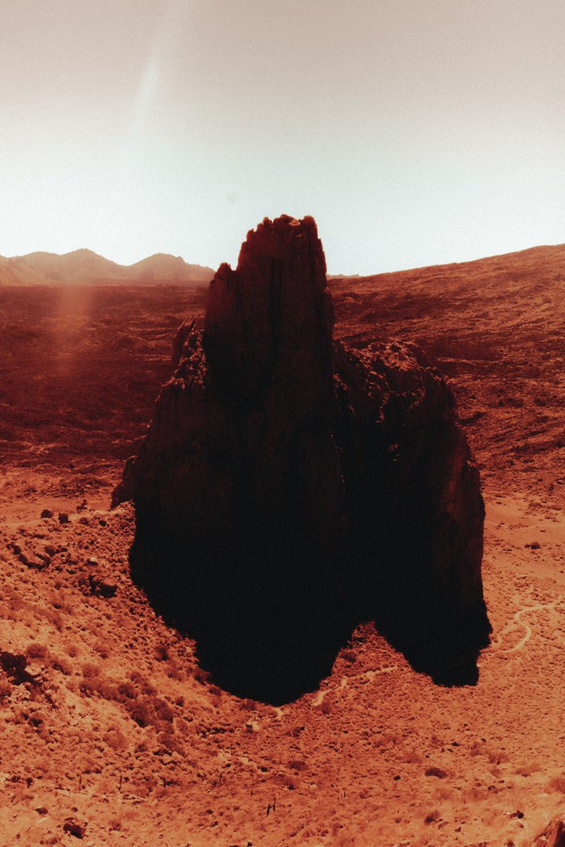 Note for myself 🥀
I have lost my connection with nature, I have overthought, I have overintellectualized, I have forgotten to feel, to be, to love. I need to reconnect with things, I need to go out, I need to see again.