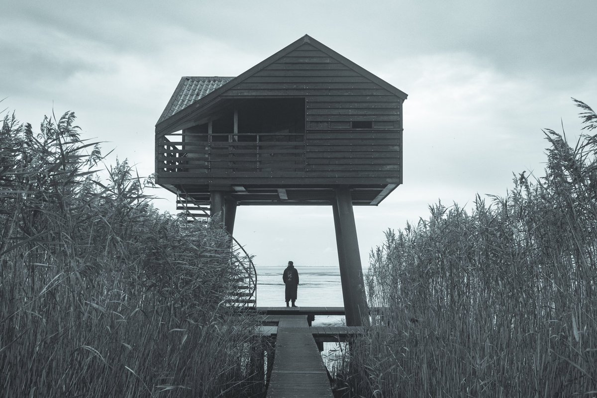 Zonderling tweet media